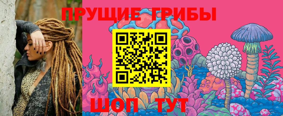Галлюциногенные грибы Psilocybine cubensis Мурино